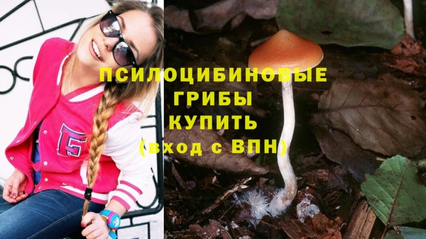 стаф Алексеевка