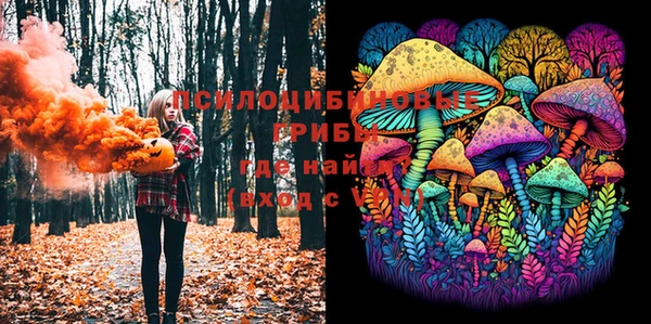 мяу мяу мука Алзамай