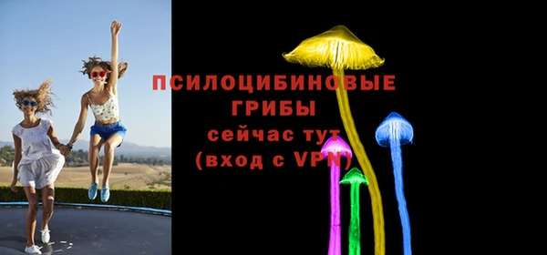 стаф Алексеевка