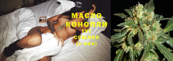 гидра Алексин