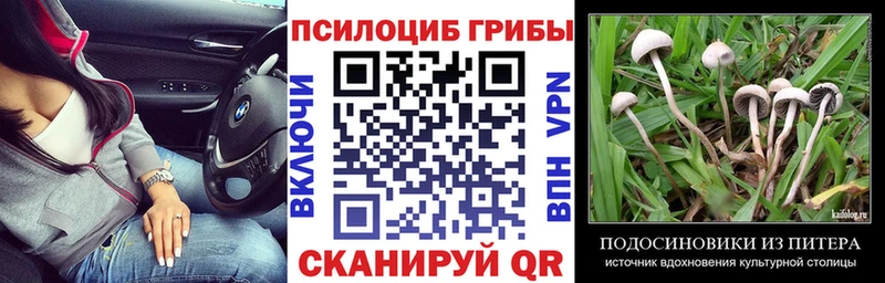 Псилоцибиновые грибы Cubensis  мега ТОР  Менделеевск  закладки 